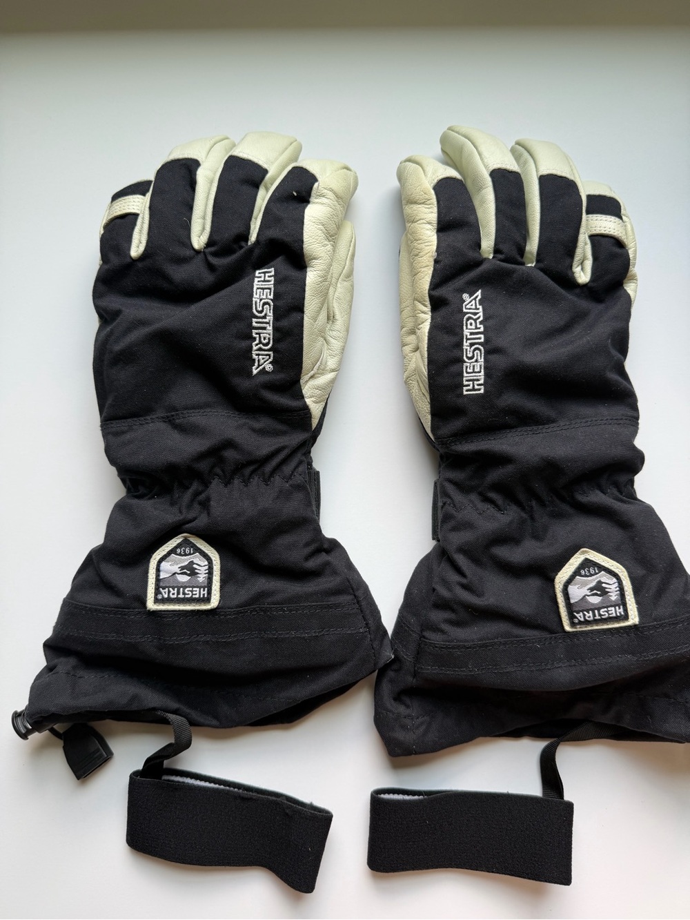 Hestra Men's Black and White Ski Gloves